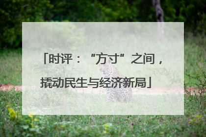 时评：“方寸”之间，撬动民生与经济新局